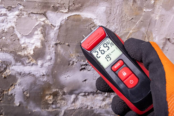 Professional Mold Remediation in Appleton, MN