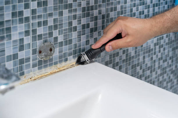 Best Health and Safety Mold Remediation in Appleton, MN